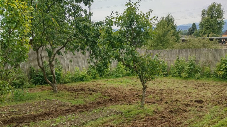 Jeder von uns braucht einen eigenen Garten – Auch ich fange jetzt an!